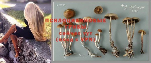 spice Алексин