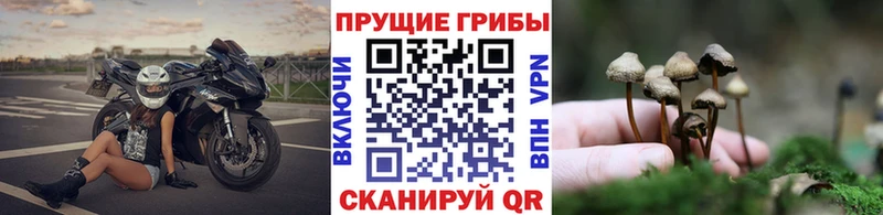 Псилоцибиновые грибы Magic Shrooms Ардон